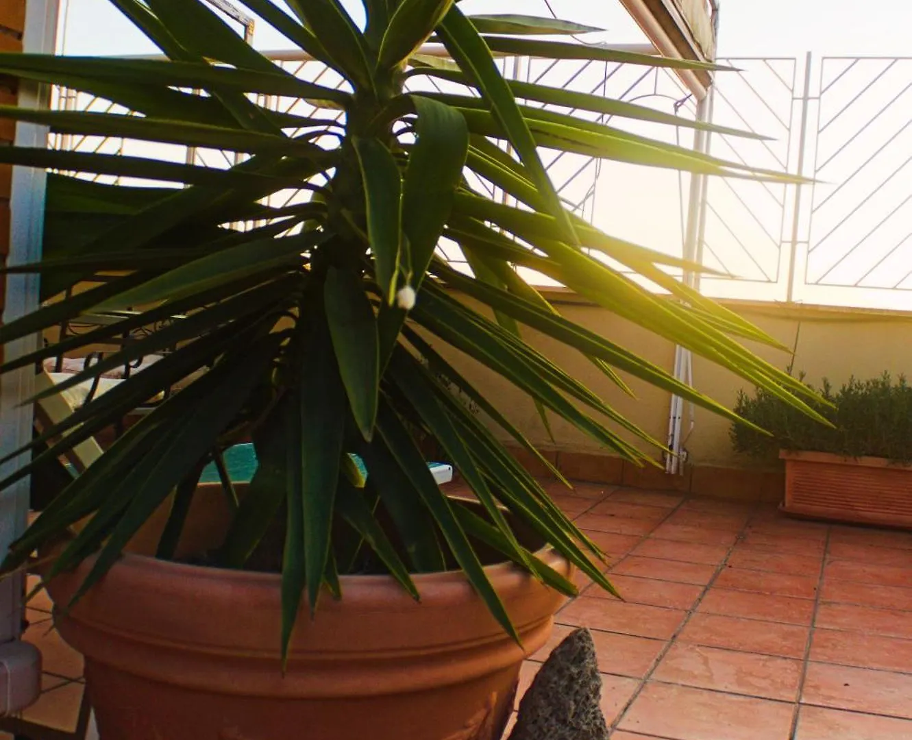 Tiziana'S Terrace - Pet Friendly Apartment Rome Italy